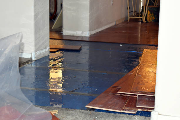 Professional Sewage Cleanup technician working in Saranac, MI